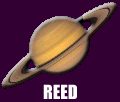 Reed